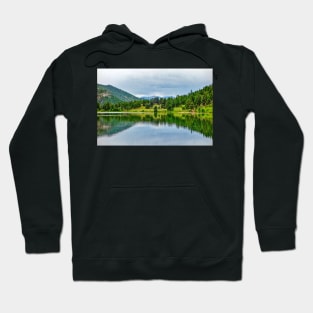 Lily Lake Study 2 Hoodie